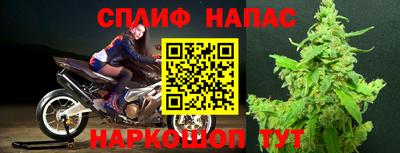 кокс Аша