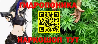 a pvp Ачхой-Мартан