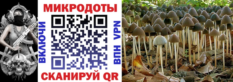 Псилоцибиновые грибы мухоморы Боровичи