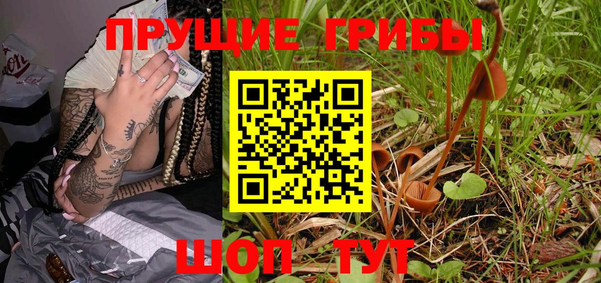 Псилоцибиновые грибы Cubensis  Вход с VPN  Боровичи 